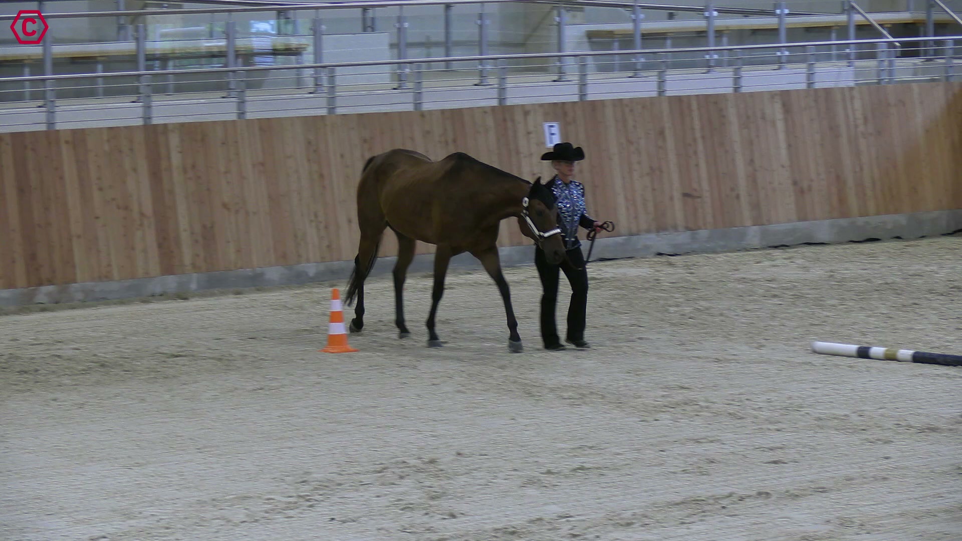 Clip von Katrin Schultze, StartNr 127