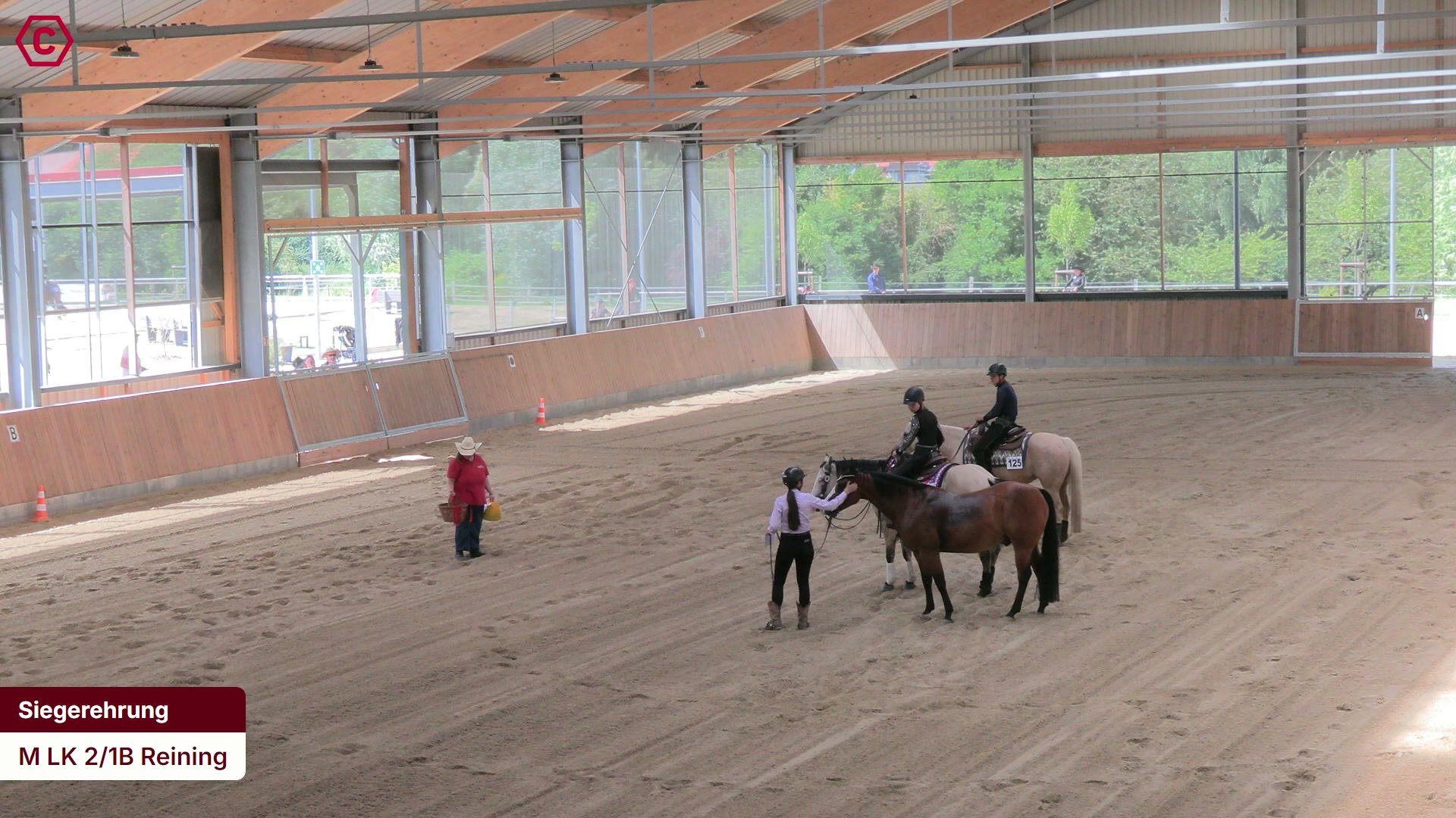 Siegerehrungs-Clip M LK 2/1B Reining