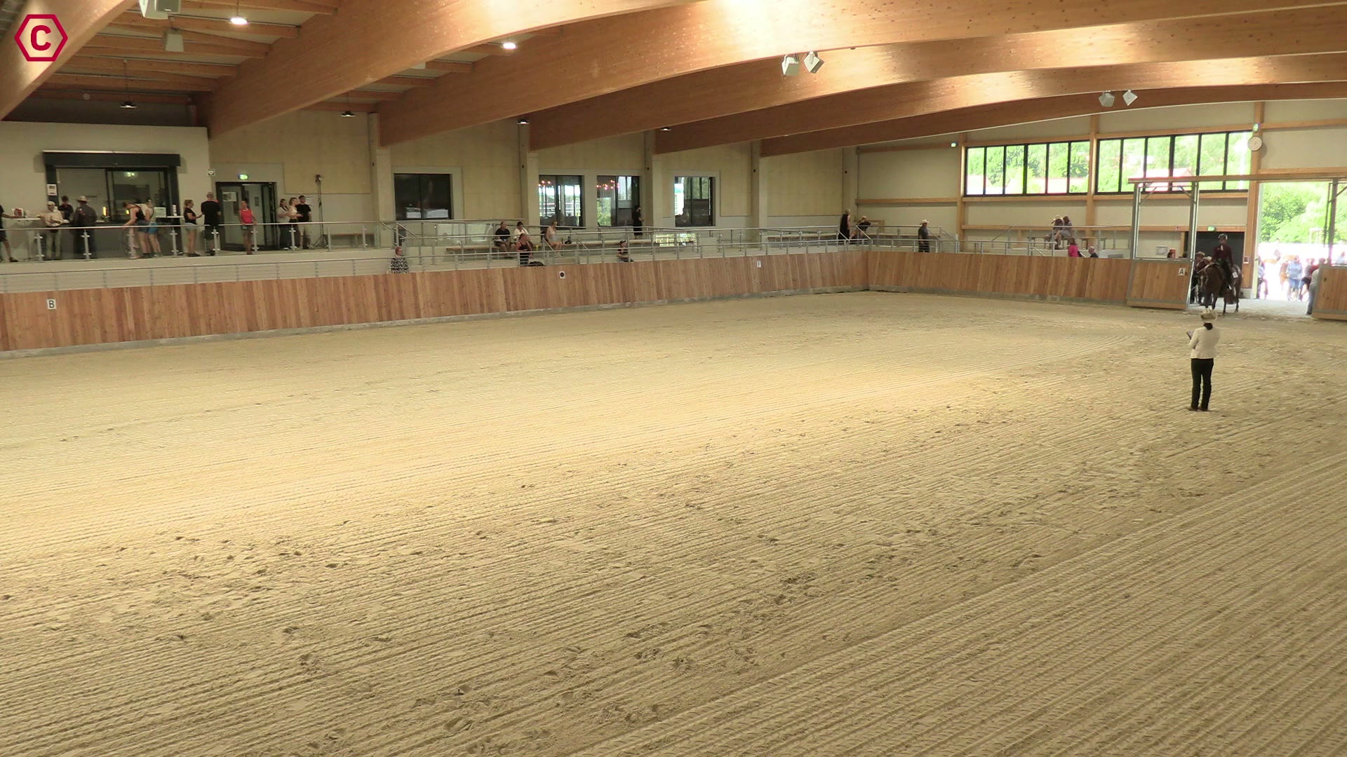 Gruppenclip M LK 2/1B Western Pleasure