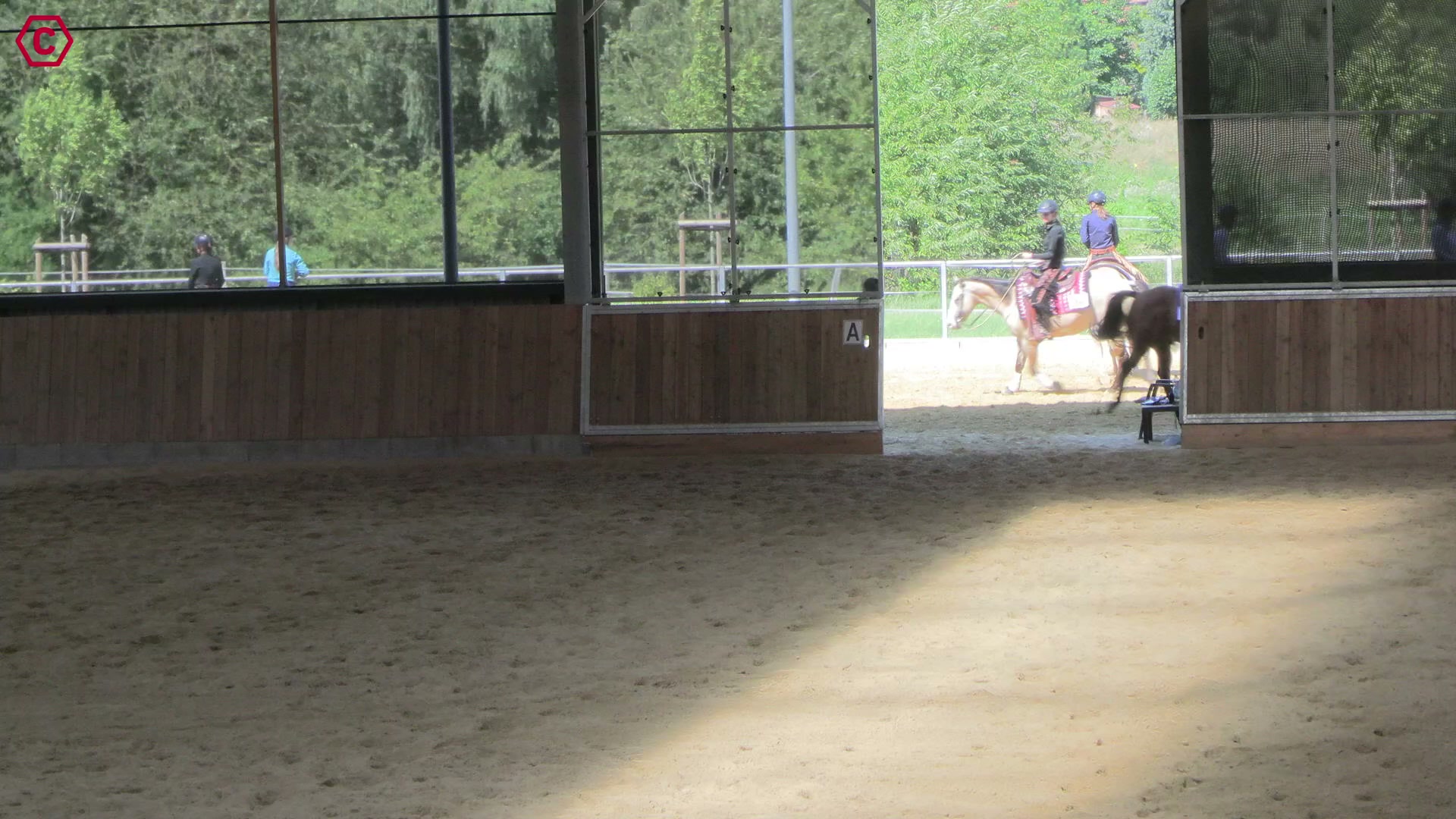 Gruppenclip M LK 2/1B Western Ranch Rail