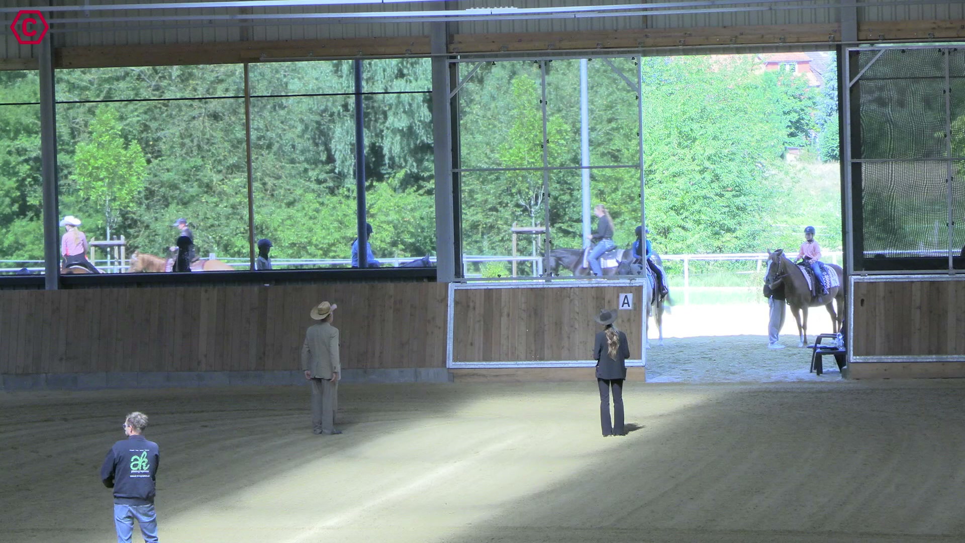 Gruppenclip Walk Trot  Pleasure